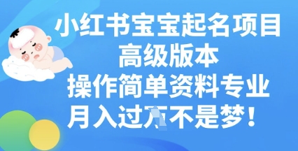 小红书宝宝起名项目高级版本,操作简单,资料专业,月入过W-狐狸网创资源网