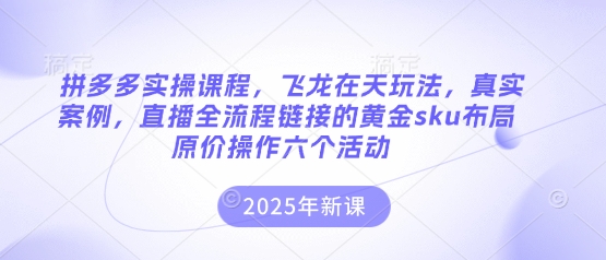 拼多多实操课程,飞龙在天玩法,真实案例,直播全流程链接的黄金sku布局原价操作六个活动-狐狸网创资源网