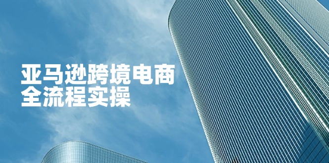 (14252期)亚马逊跨境电商全流程实操,教你从零开始,掌握店铺运营与广告技巧-狐狸网创资源网
