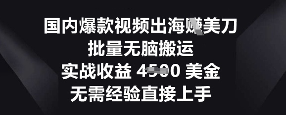 国内爆款视频出海挣美刀,批量无脑搬运,实战收益4.5k,无需经验直接上手-狐狸网创资源网