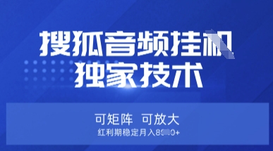 【搜狐音频挂G】独家技术，可矩阵可放大，红利期稳定月入8k【揭秘】-狐狸网创资源网