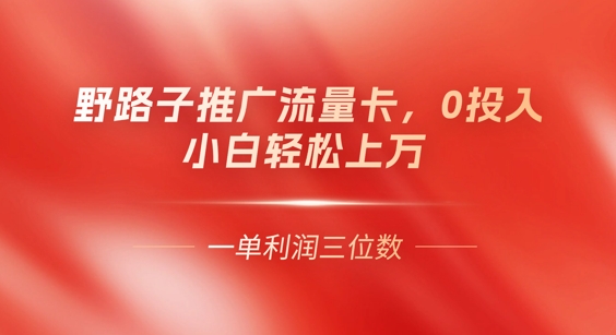 0门槛推广流量卡,一单收益上百,0投入,小白月入过W-狐狸网创资源网