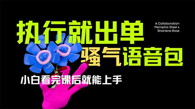 (14170期)爆火全网的开车导航骚气语音包,只要执行就出单,小白看完课程就能实操...-狐狸网创资源网
