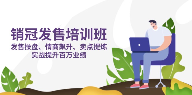 （14203期）销冠 发售培训班：发售 操盘+情商 飙升+卖点 提炼，实战提升百万业绩-狐狸网创资源网