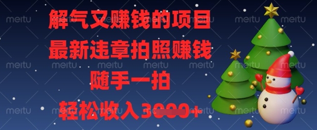 解气又挣钱的项目,最新违章拍照挣钱,随手一拍,轻松收入数张【揭秘】-狐狸网创资源网